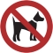 Sorry - Dogs Are Not Allowed - Learn More
