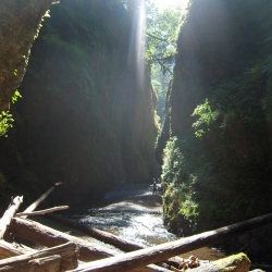 The Oneonta Gorge.