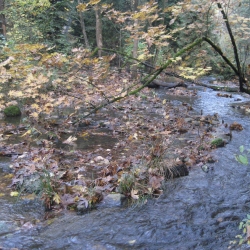 Crystal Springs Creek