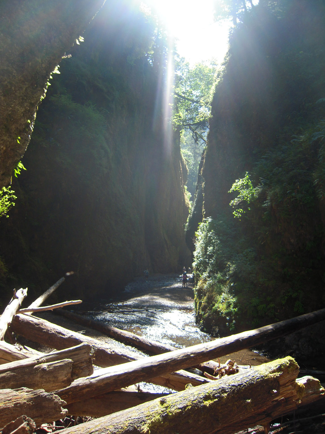 The Oneonta Gorge.