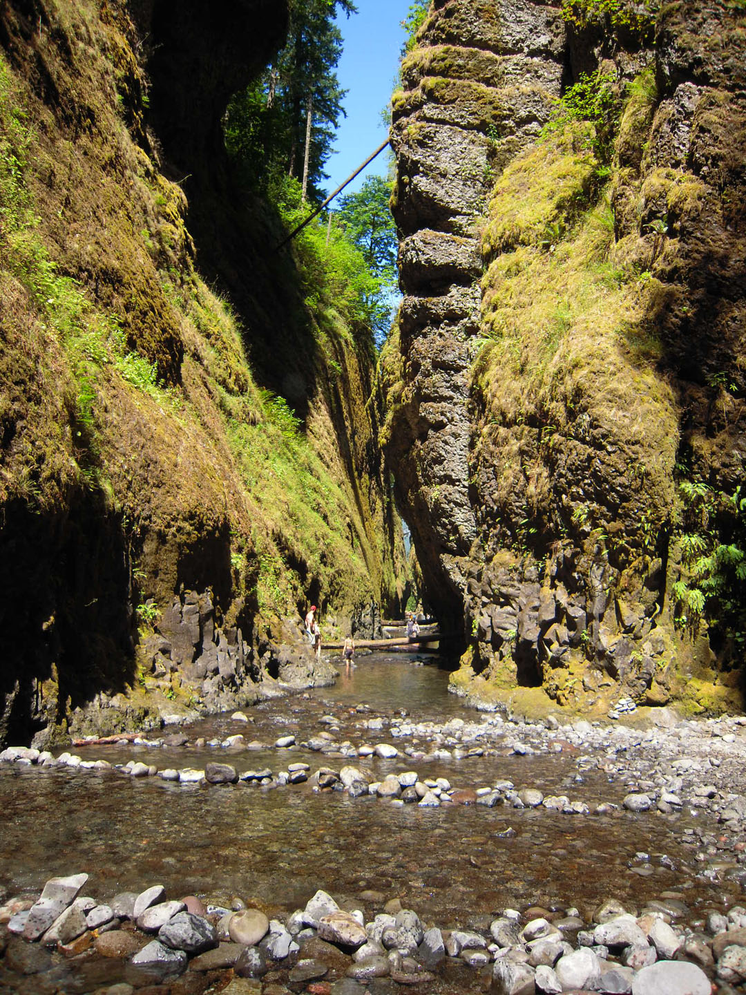 Oneonta Creek IS the trail, bring your water shoes!