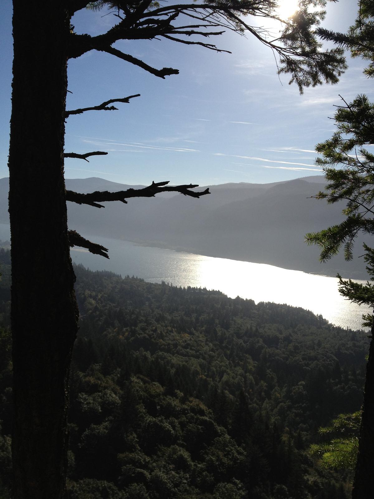 View of the Columbia from the lookout