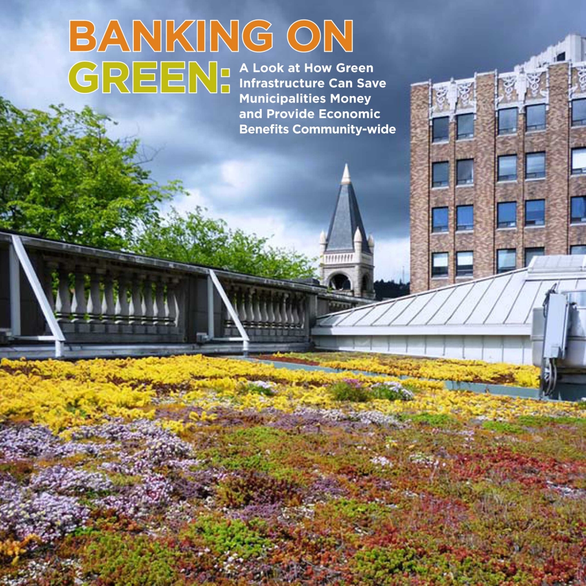 Banking On Green Infrastructure Report