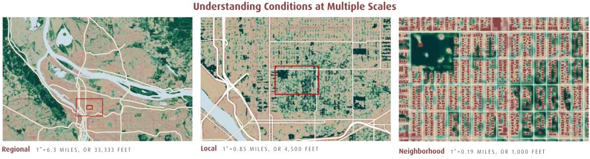Understanding Landscape Conditions at Multiple Scales