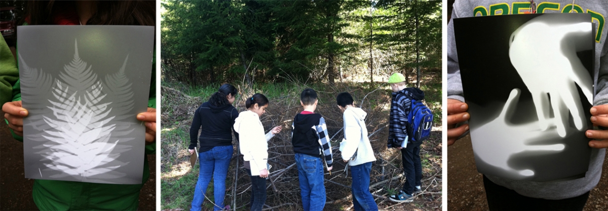 Conservation Education uses Nature Art