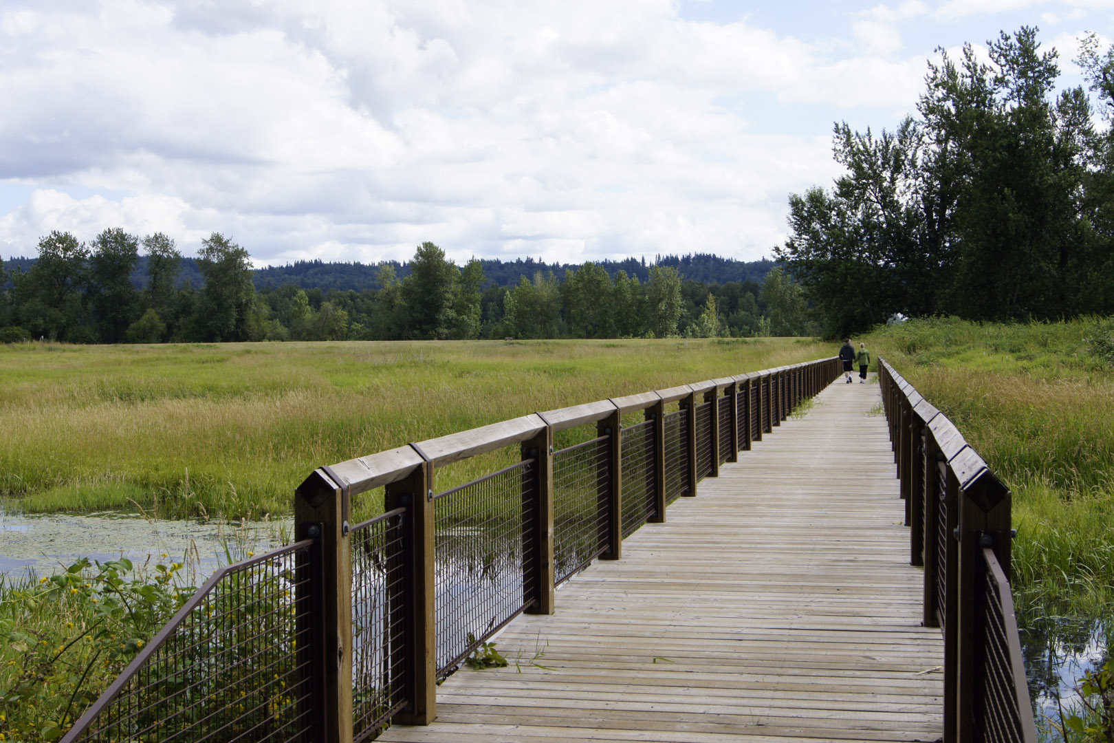 One of several bridges through the wetland areas. 