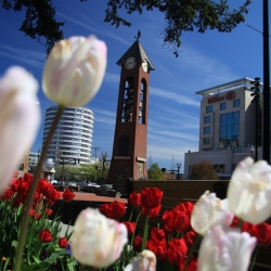 Esther Short Park Bell Tower