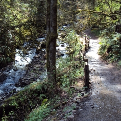Macleay Park Trail along Balch Creek 