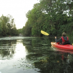 Paddling the slough